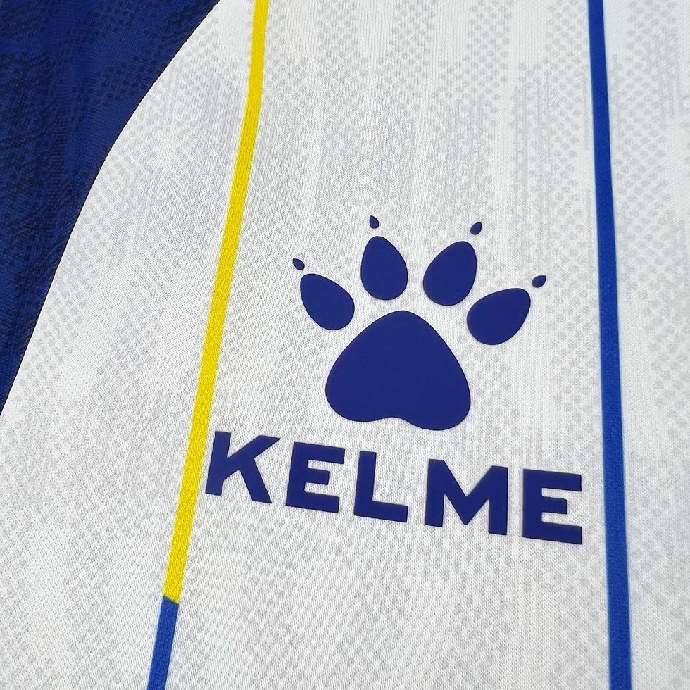 Miniatura: Camisa Modelo Torcedor Bósnia Away 2026/27