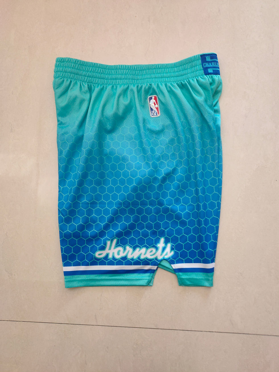 Miniatura: Short Basquete Charlotte Hornets