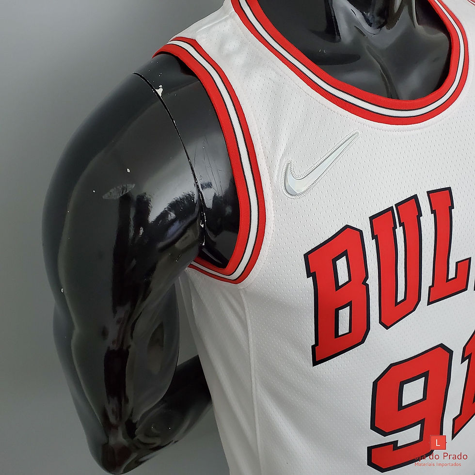 Miniatura: Camisa Basquete Modelo Jogador Chicago Bulls Dennis Rodman 91