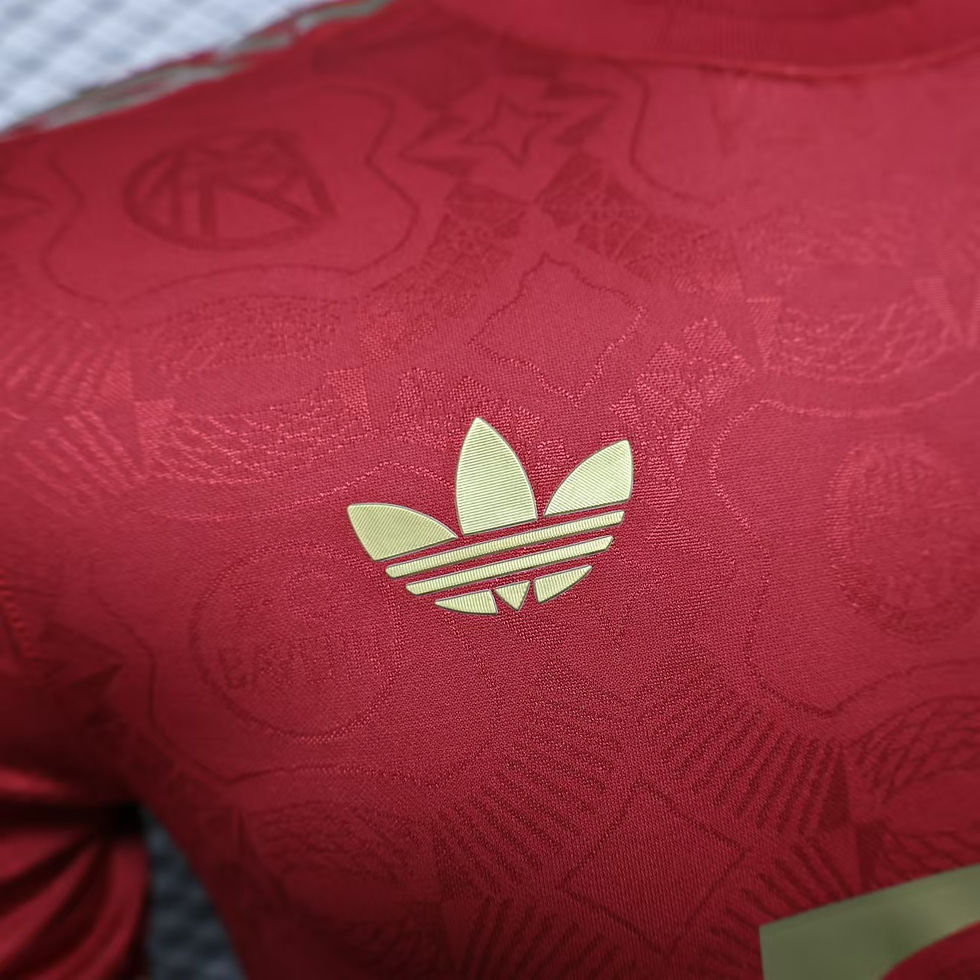 Miniatura: Camisa Modelo Jogador Bayern de Munique 125 anos Vermelho 2025/26