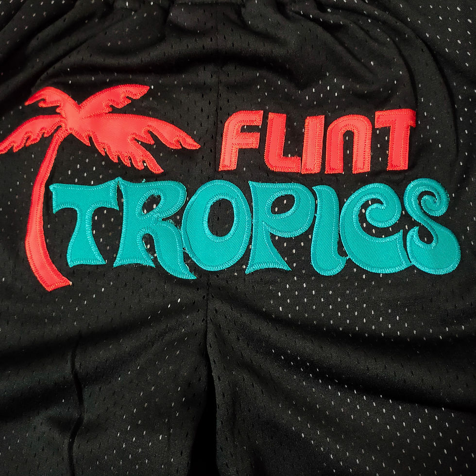 Miniatura: Short Basquete Flint Tropics