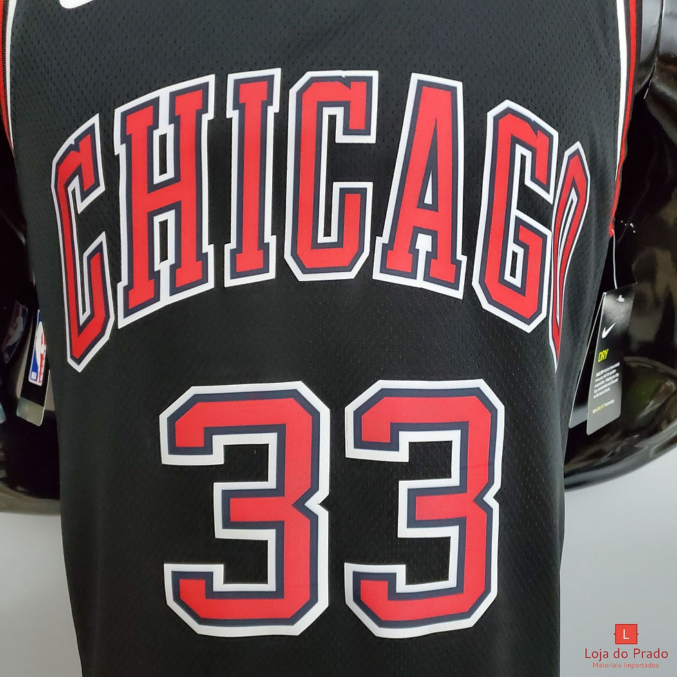 Miniatura: Camisa Basquete Modelo Jogador Chicago Bulls Scottie Pippen 33