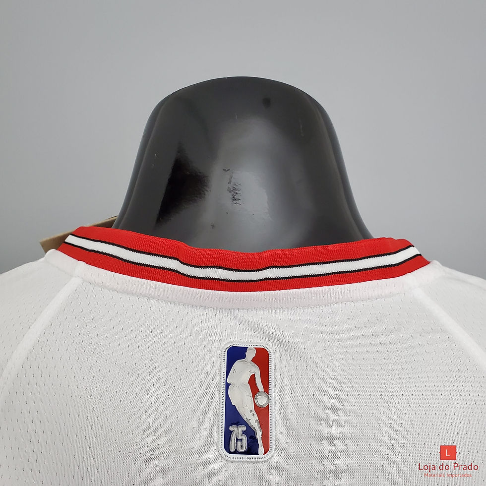 Miniatura: Camisa Basquete Modelo Jogador Chicago Bulls Dennis Rodman 91