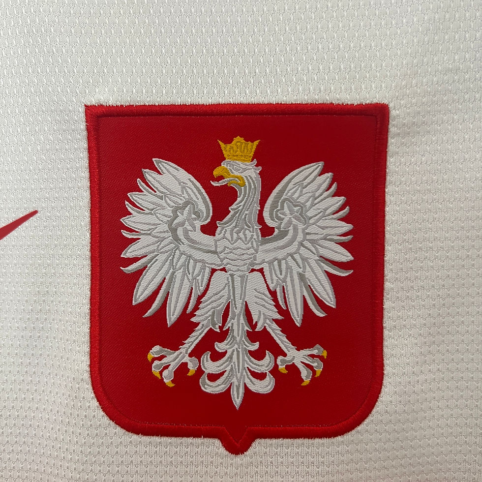 Miniatura: Camisa Retro Polônia 2012