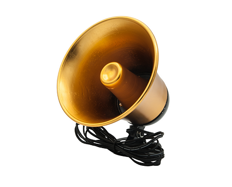 ลำโพงฮอร์น รุ่น HS-505W