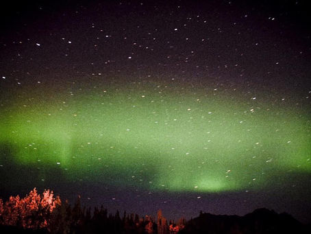 貴方を幸せにするのは何?