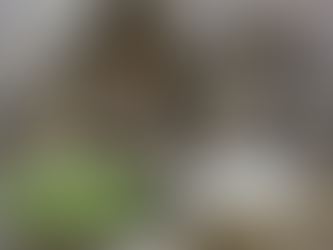 高次元パワースポット遠隔気功ヒーリング
番外編