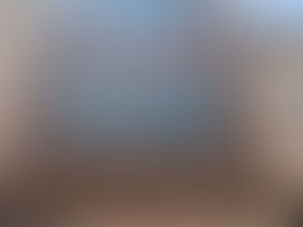 Commercial Property for Rent in Main Road, Shanti Nagar, Tri Nagar, New Delhi