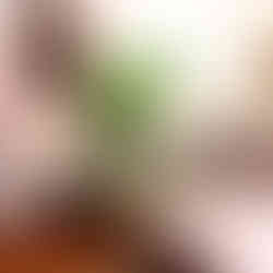 Fully furnished Independent House for Rent, close to KFR Ground at Behala, Kolkata