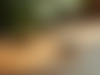 Flyers et Cartes de Visite: Attirez Plus de Clients