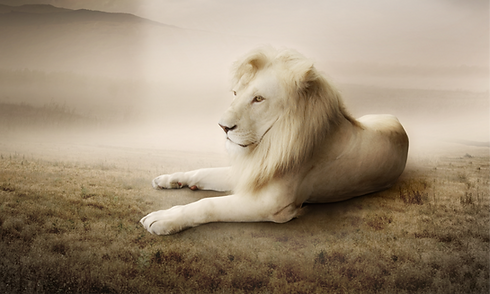 White Lion
