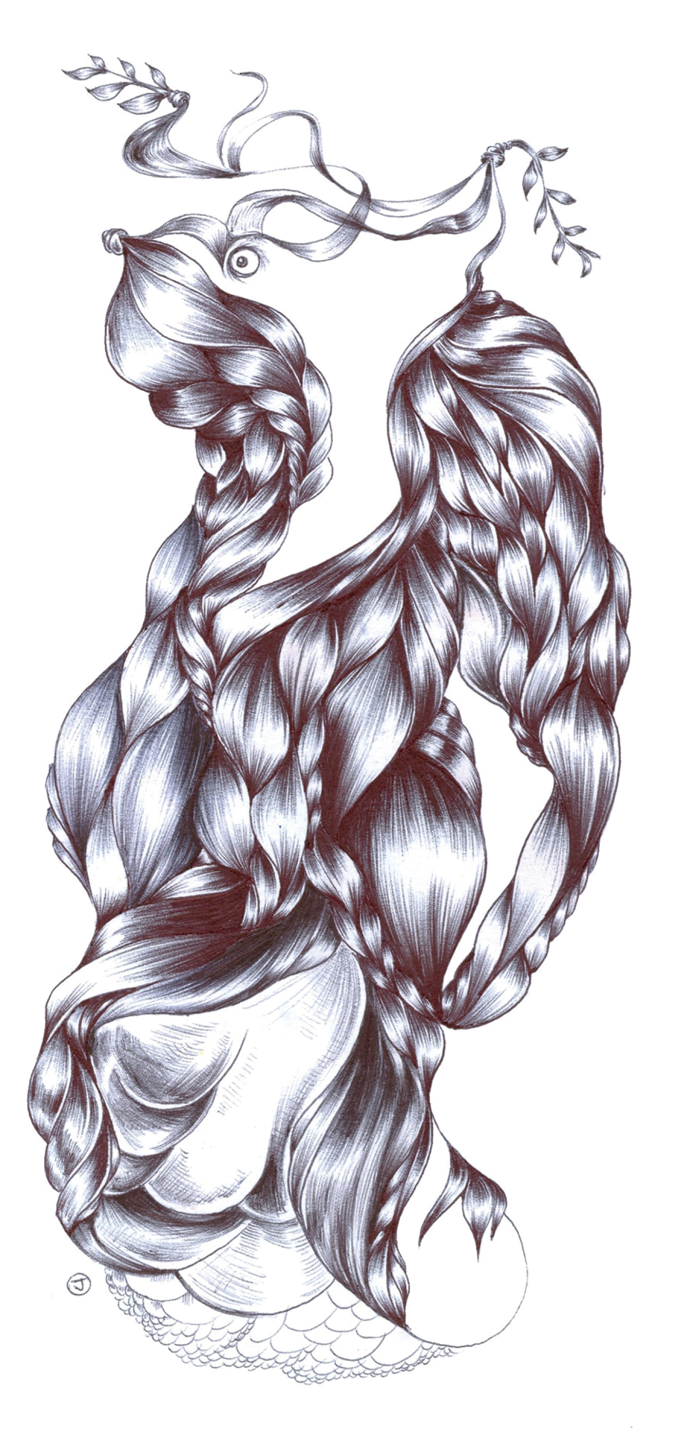 Braids