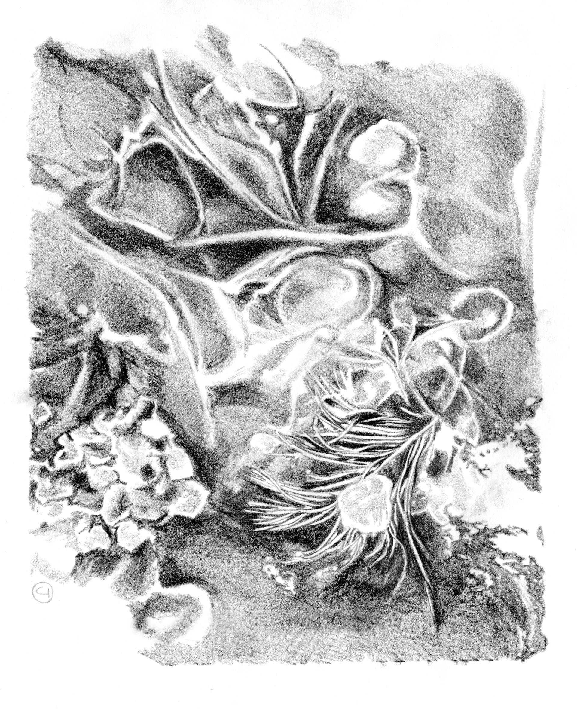 texture_study_2