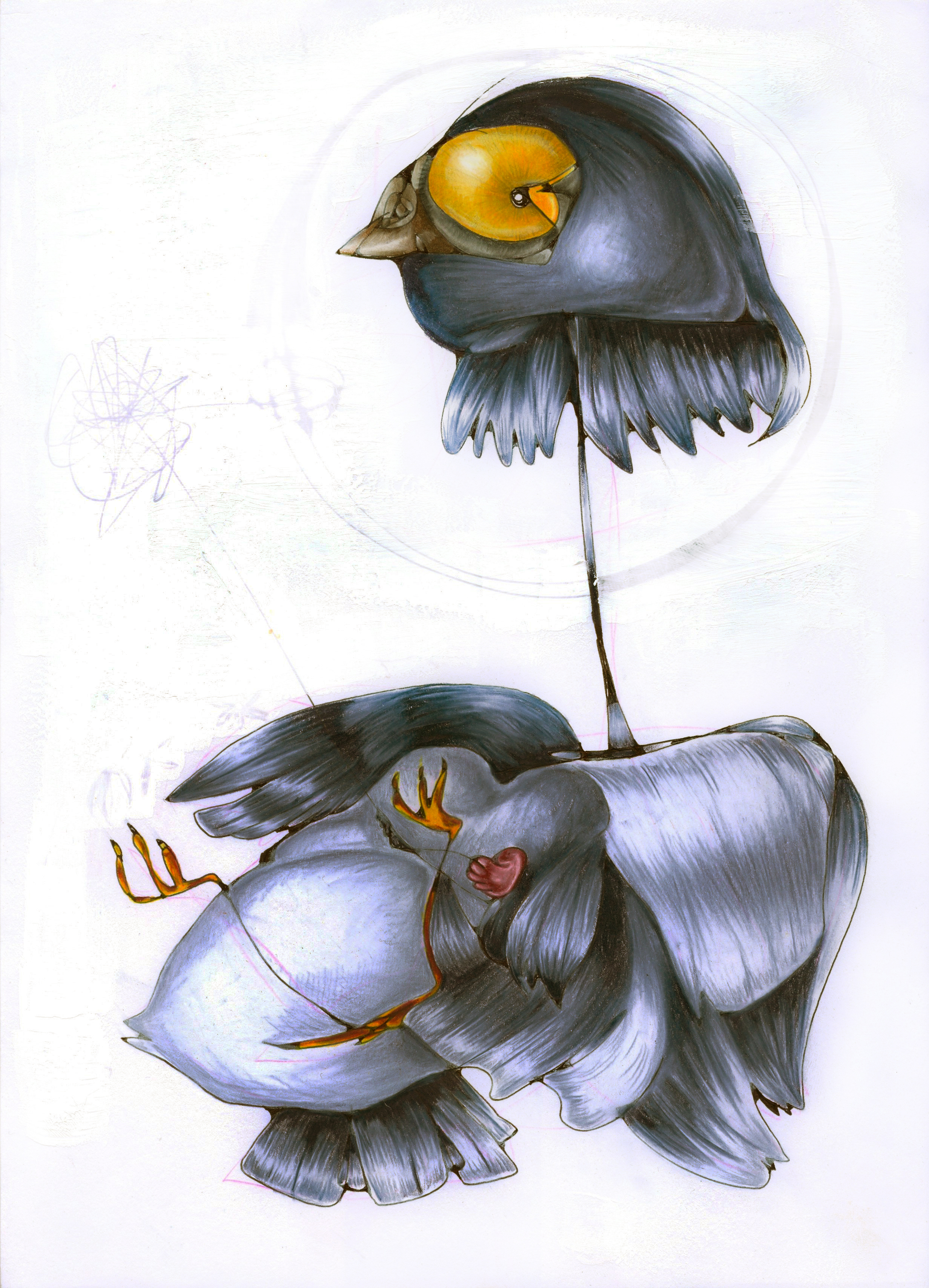 Headless Pigeon