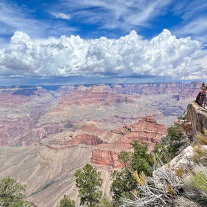 Visitors looking into Grand Canyon at Yavapai Point