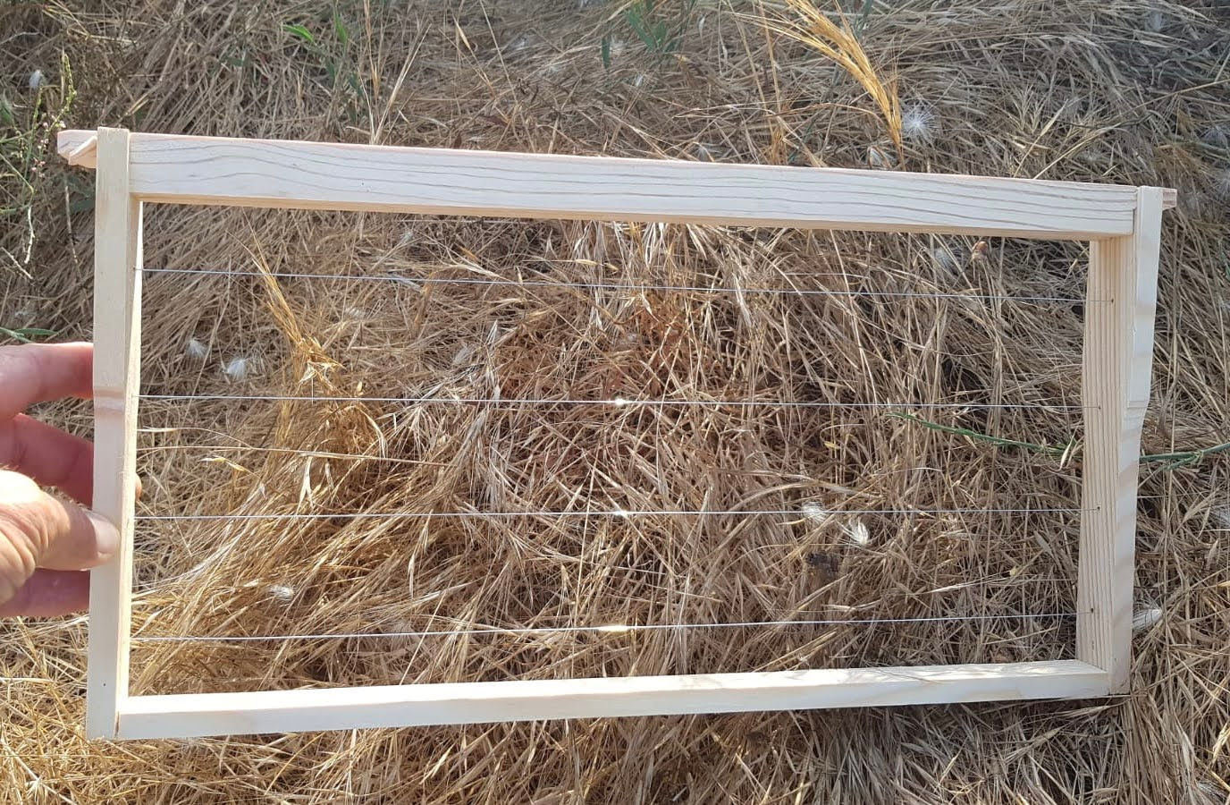 מסגרת עם חוטים