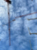 IMG_1512.jpeg