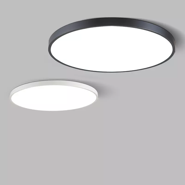 ceiling light.webp
