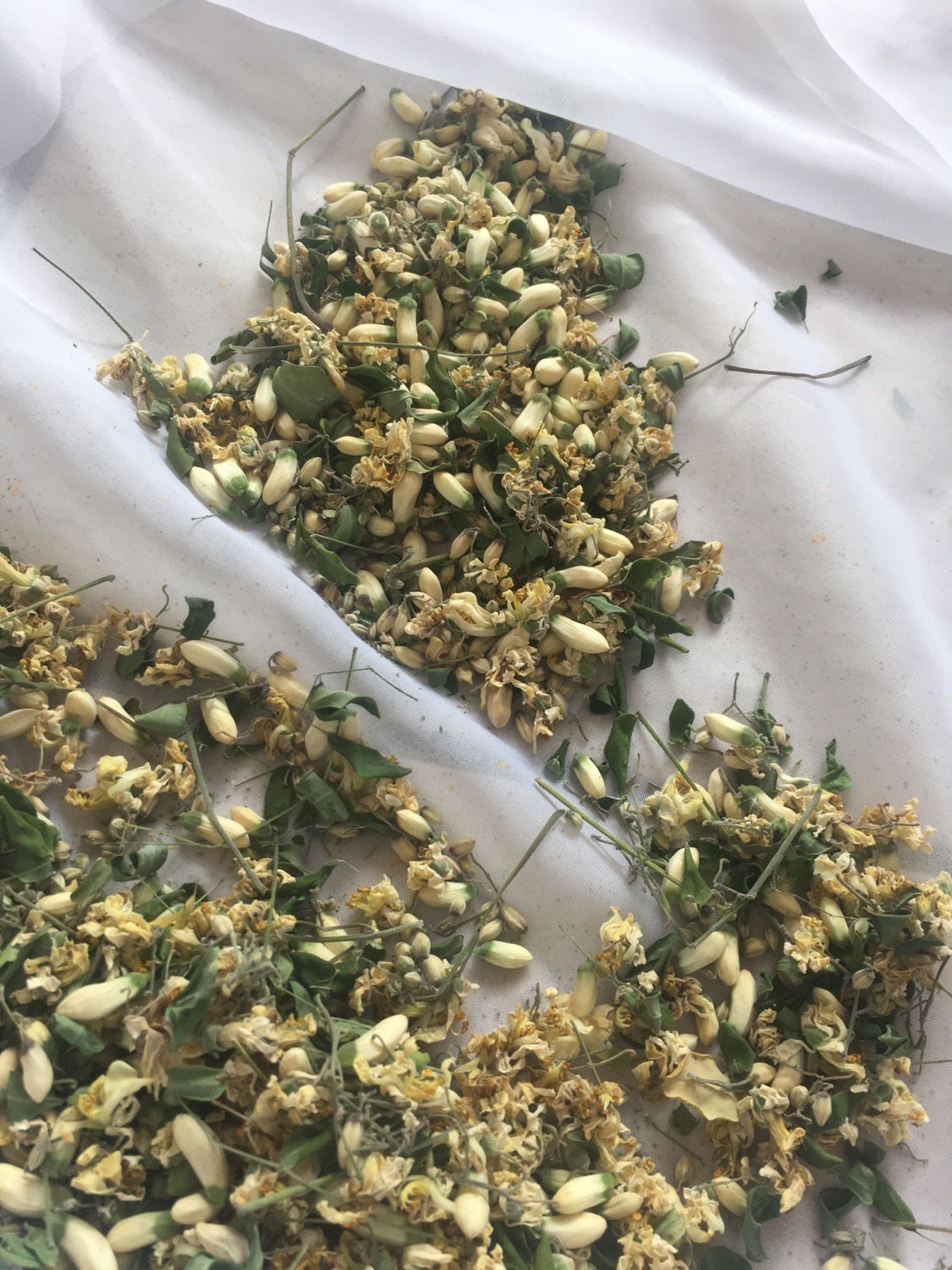 Dried Moringa FLowers