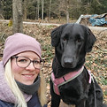 Malu Flat Coated Retriever