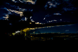 DSC_3980_RAW