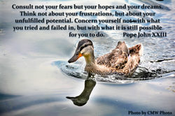 DuckInWater
