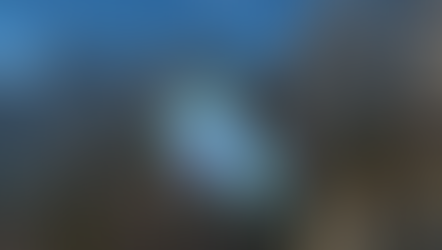 How to Get the Rare Spirit of Eche'ro Mount in World of Warcraft