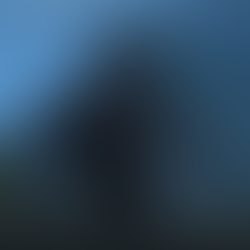 Siesbarg: Where to Farm Nerubian Chitin and FAQ's