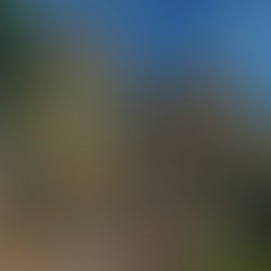 Discover all 37 New Mounts Coming to The War Within