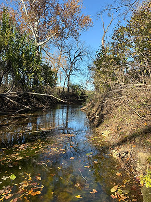 creek-in-fall-vertical.jpg