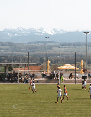 Gemeinde Ins im Sommer