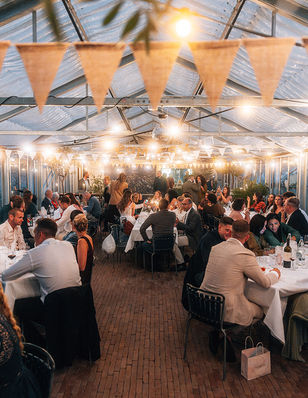 Hochzeit in Treibhaus - Beitrag