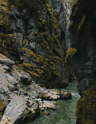 Aareschlucht Ausflug