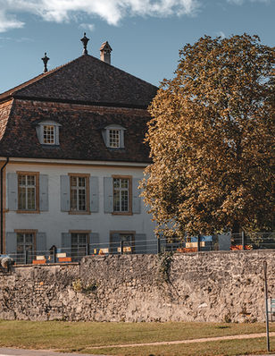 Gemeinde Ins im Sommer