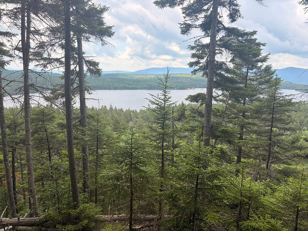 A pretty view between ME-17 & ME-4.