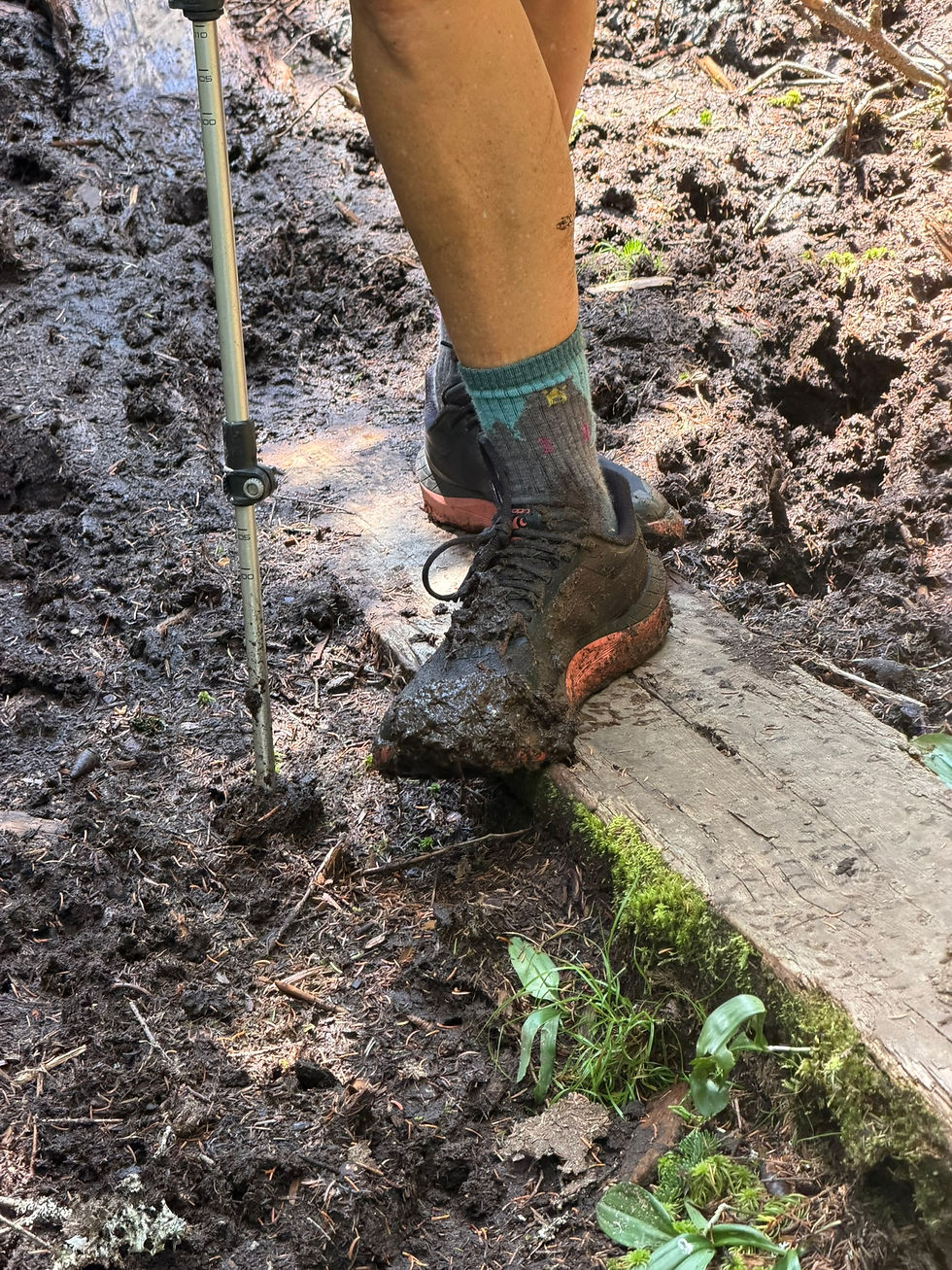 Lemonade missed a bog board giving her shoe a mud bath.