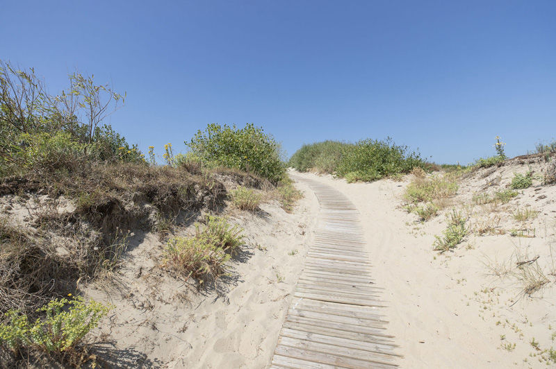 Duinen-en-strand.jpg