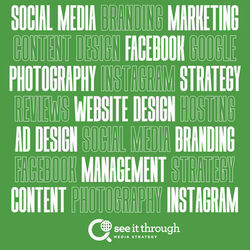 SeeItThrough What We Do Post