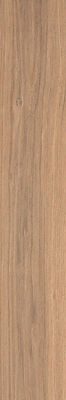 OAKWOOD Antico 20 x 120cm.jpg