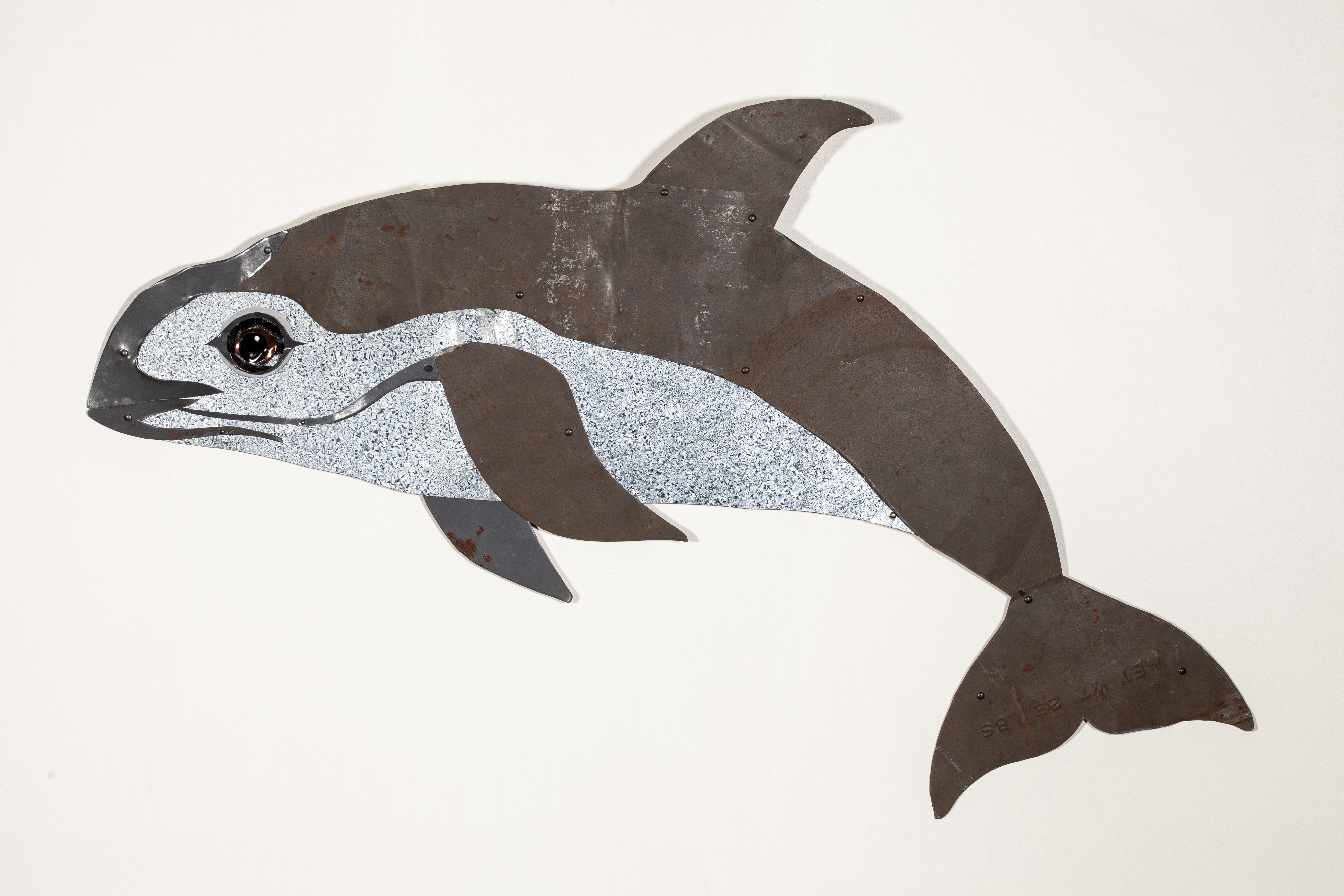 Vaquita
