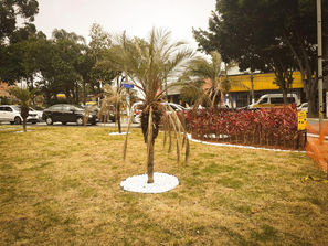 Inaugurado há um mês, o novo Jardim de Chuva do Carrão passa por problemas