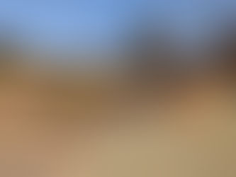 10番ホール コース改良工事のお知らせ