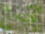DJI_0894.jpg