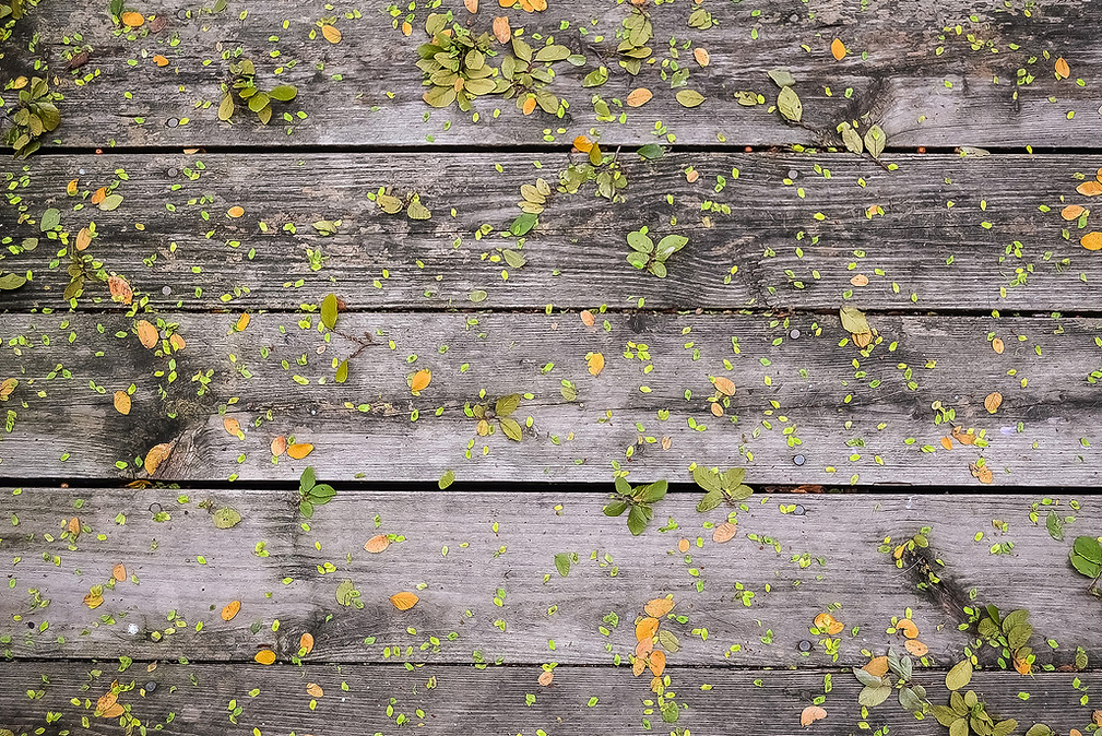 wood board background