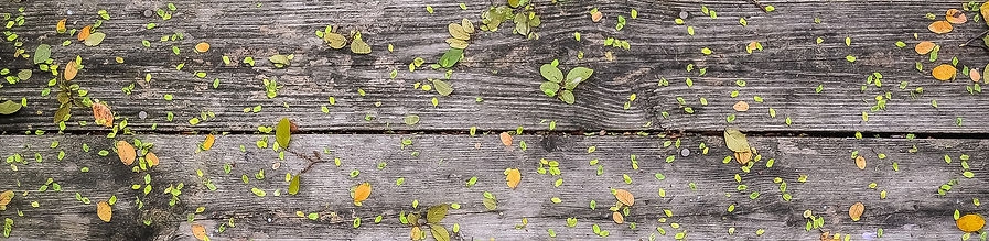 木材の花