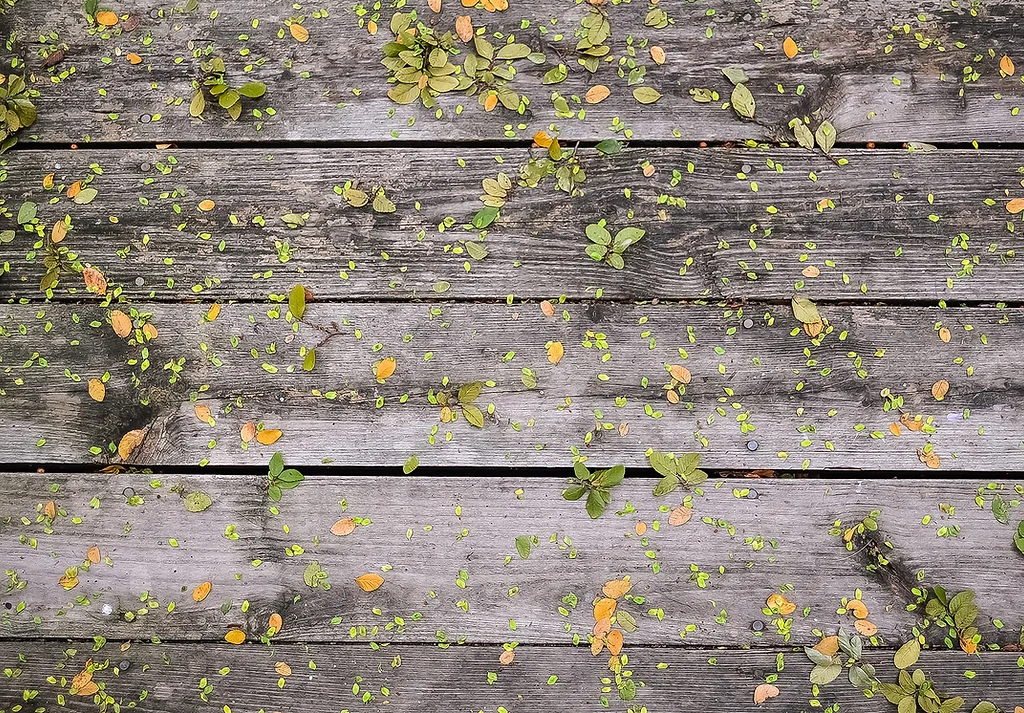 Our Story Fabios Kitchen Ph