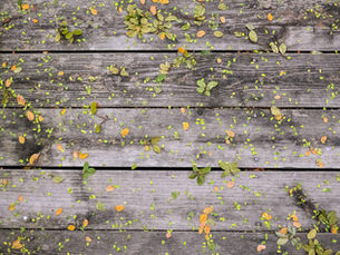 Deck Danger Zones: Spotting Trouble and Knowing When to Replace