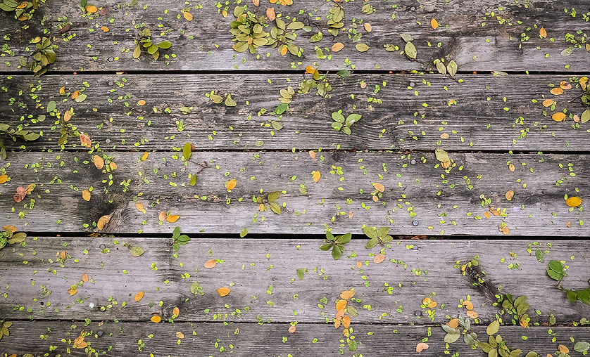 Weathered Wooden Deck
