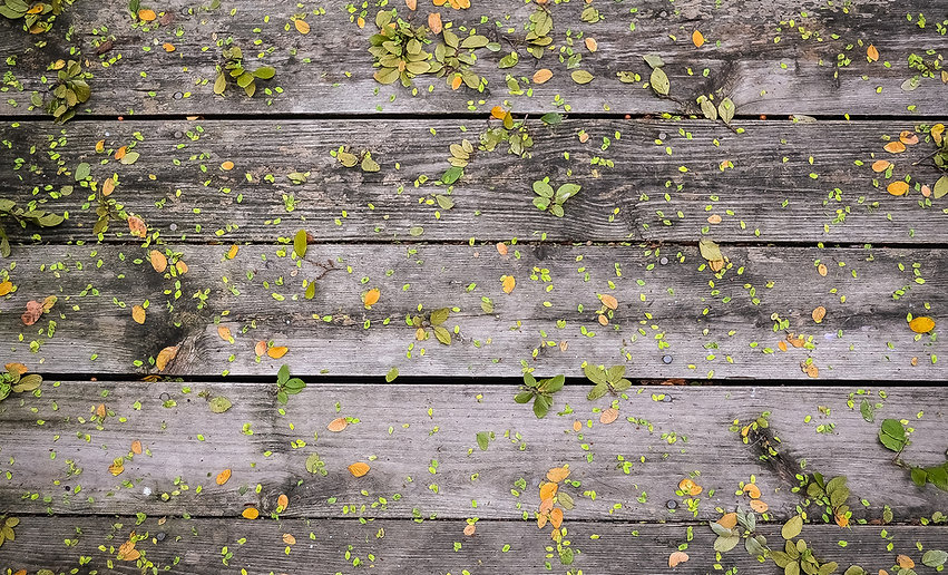 Blumen auf Holz