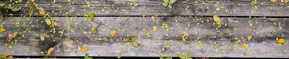 Flowers on Wood